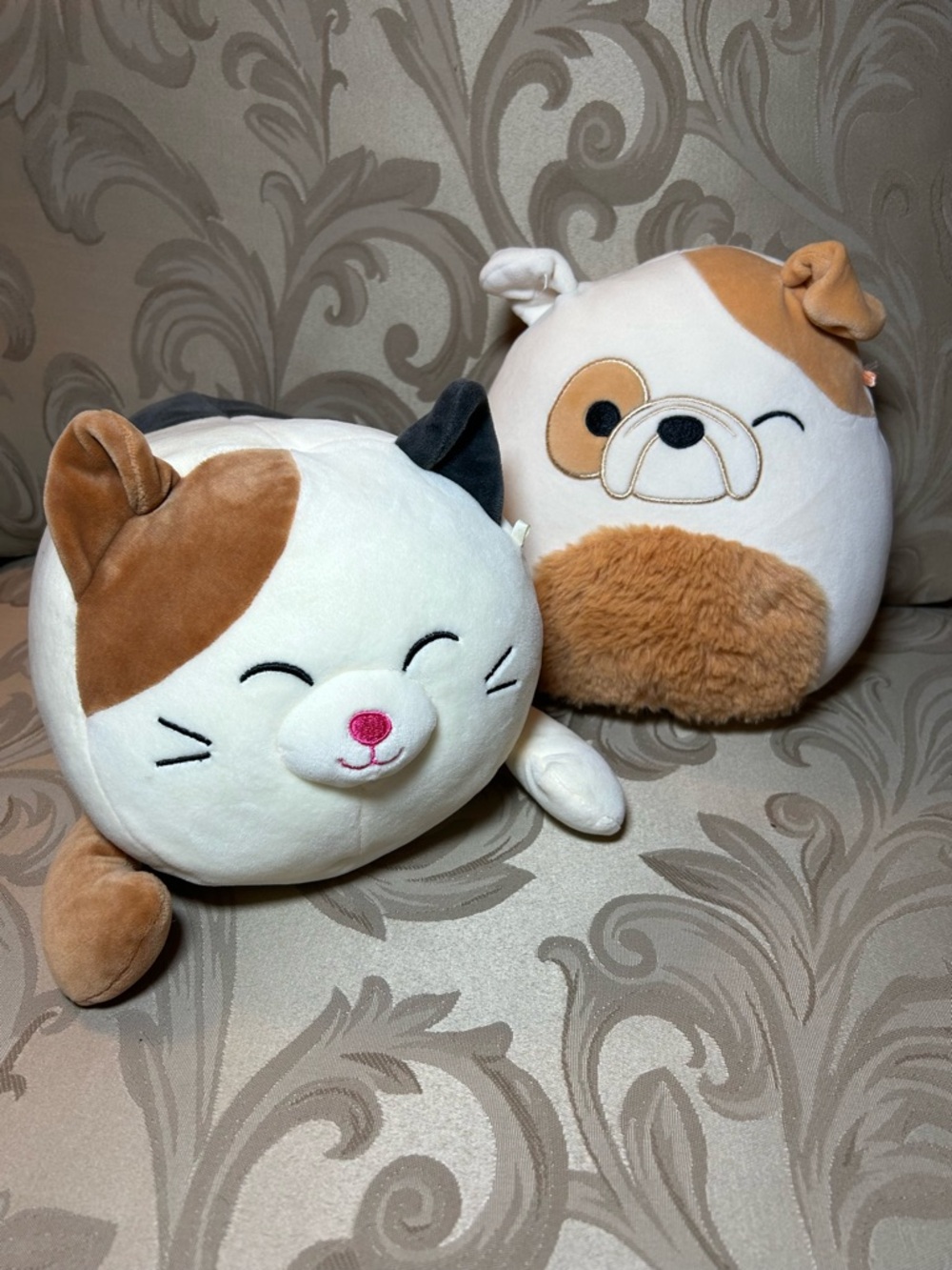 Squishmallows Cuddlers Cam The Cat Brock The Bulldog Plush Toy Cream Brown Black